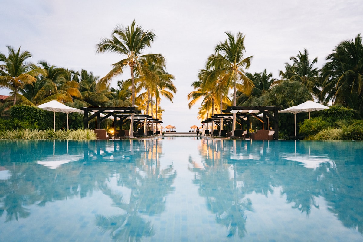 Tropical villa pool surrounded by palm trees
